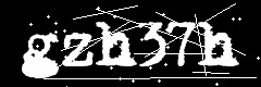 图形验证码