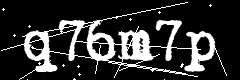 图形验证码