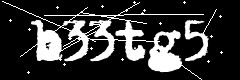 图形验证码
