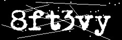 图形验证码