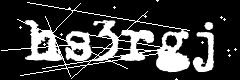 图形验证码